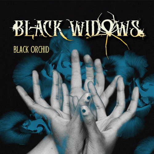 Black Widows : Black Orchid